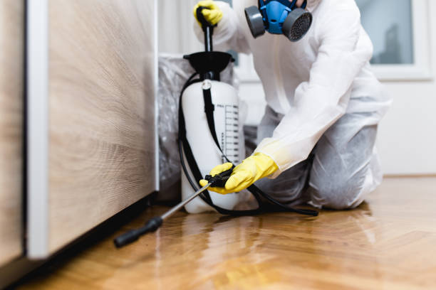Best Wasp Removal Services  in Central Square, NY