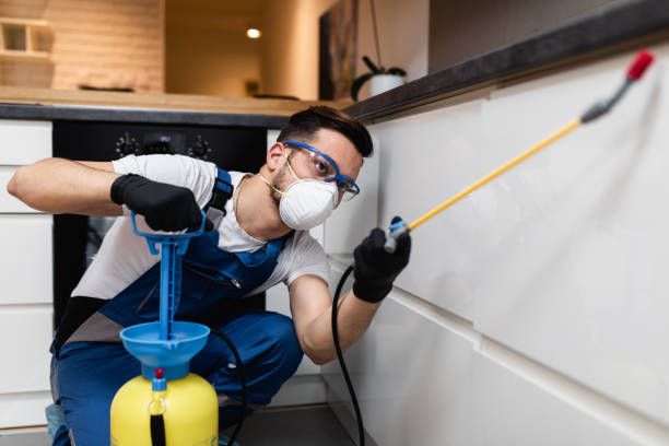 Best Wildlife Control Services  in Central Square, NY