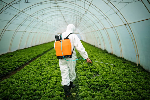 Best Affordable Pest Control Services  in Central Square, NY