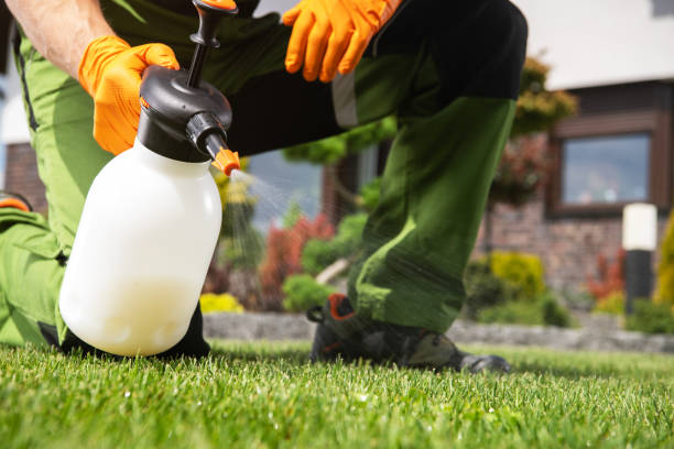 Best Pest Inspection Near Me  in Central Square, NY