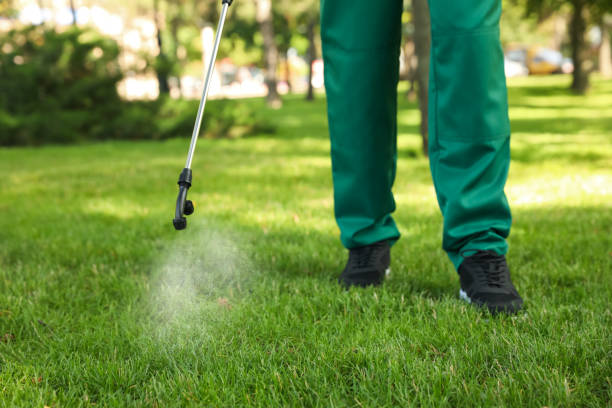 Best Termite Control Services  in Central Square, NY