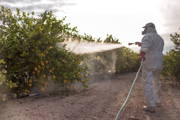 Reliable Central Square, NY Pest Control Solutions