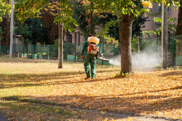 Best Exterminator Services  in Central Square, NY