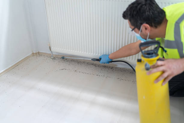 Pest Control Cost in Central Square, NY