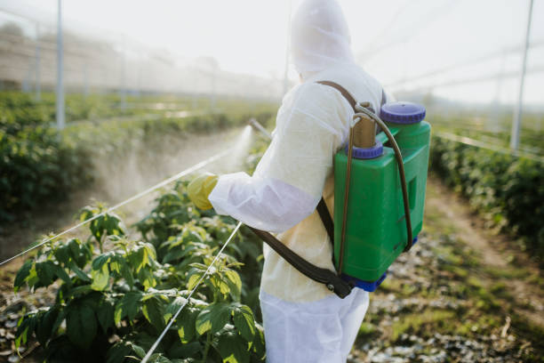Best Local Pest Control Services  in Central Square, NY